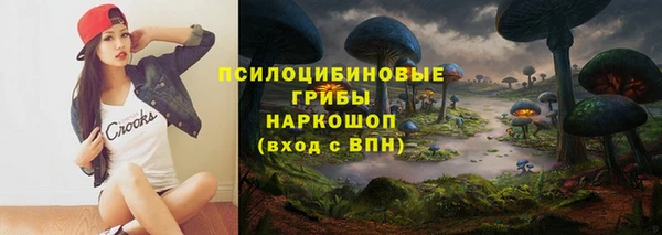 мдпв Богородицк