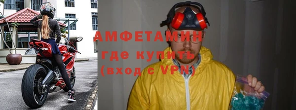 шишки Белоозёрский