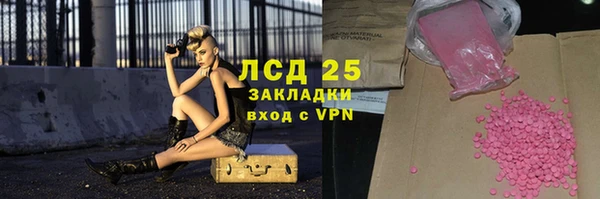 шишки Белоозёрский