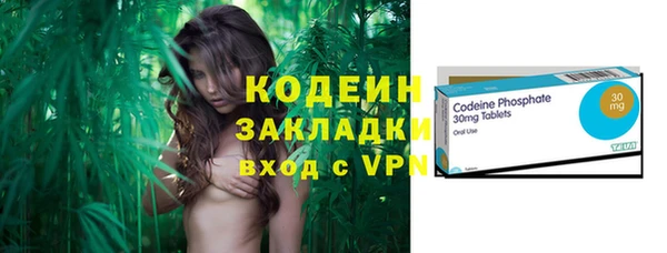 шишки Белоозёрский