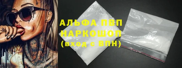 шишки Белоозёрский
