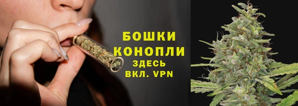 шишки Белоозёрский