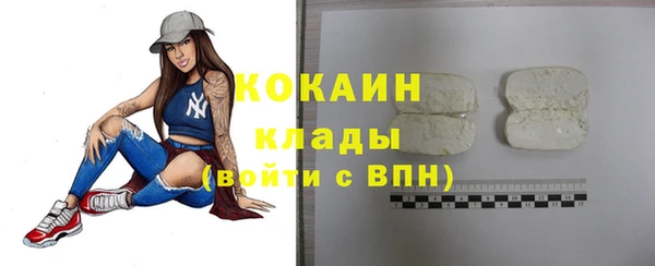 мдпв Богородицк