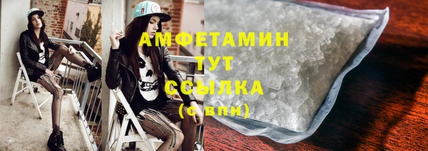 шишки Белоозёрский