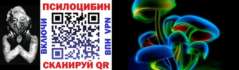 Псилоцибиновые грибы Psilocybine cubensis  Минеральные Воды 
